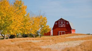 farm