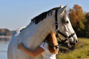 horse