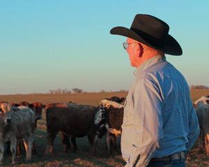 man wearing hat looking at herd